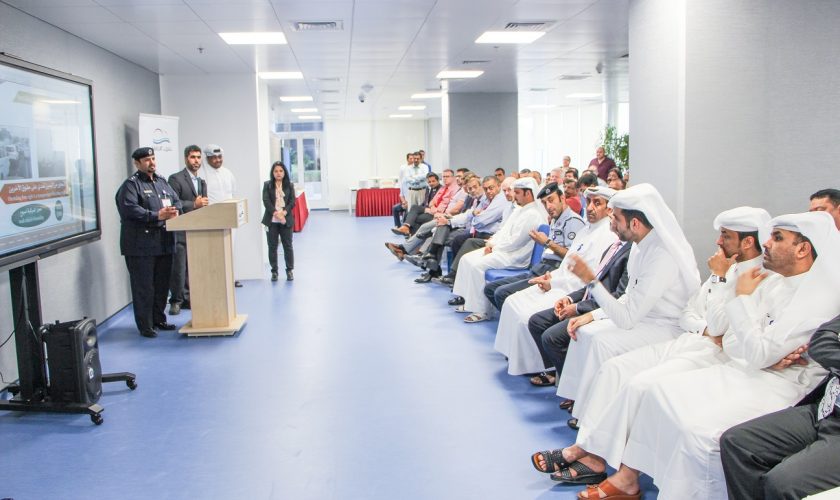 IMG_0896- LOW IMG_0896- LOW